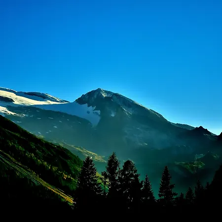 Hotel Zum Gruenen Tor Tux