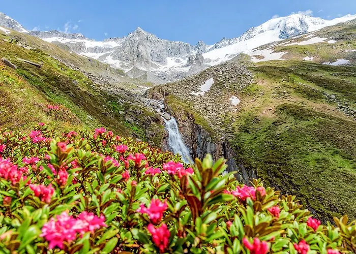 Zum Grünen Tor 3* Tux