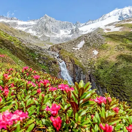 Zum Gruenen Tor 3* Тукс