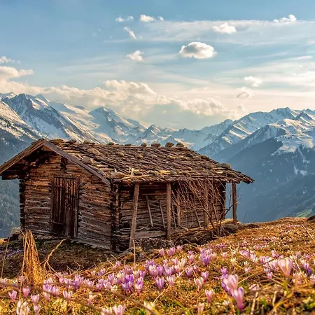 Отель Zum Gruenen Tor 3*