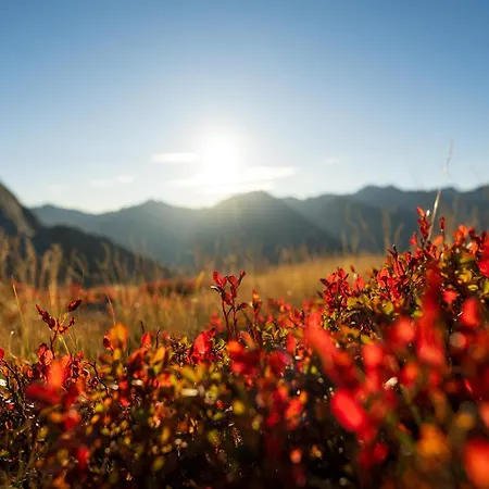 Zum Gruenen Tor Тукс