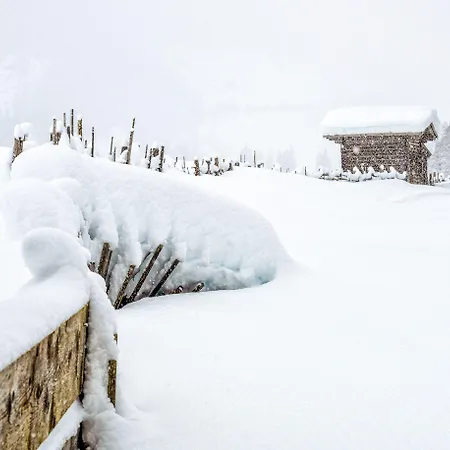 Zum Gruenen Tor Отель 3*