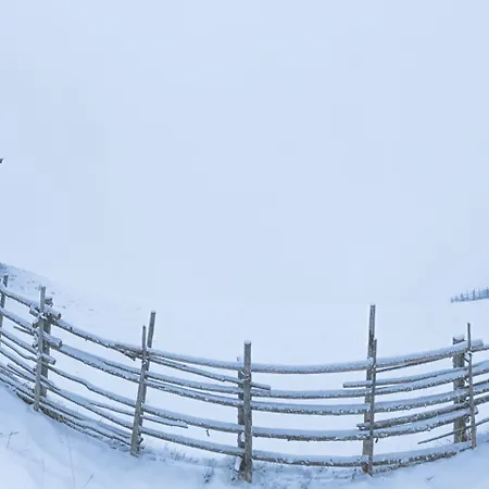 Отель Zum Gruenen Tor 3*