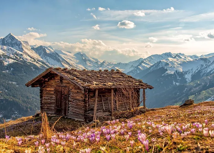 מלון Zum Gruenen Tor 3*