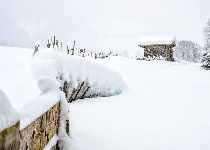 Zum Gruenen Tor מלון 3*