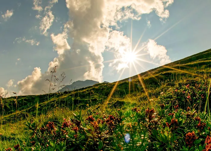 מלון Zum Gruenen Tor טוקס