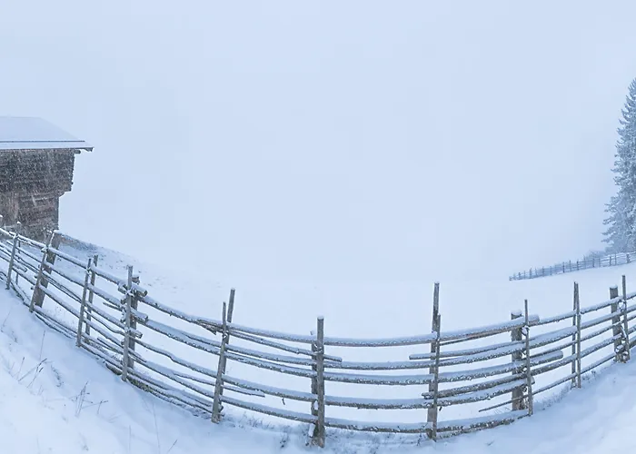 מלון Zum Gruenen Tor 3*